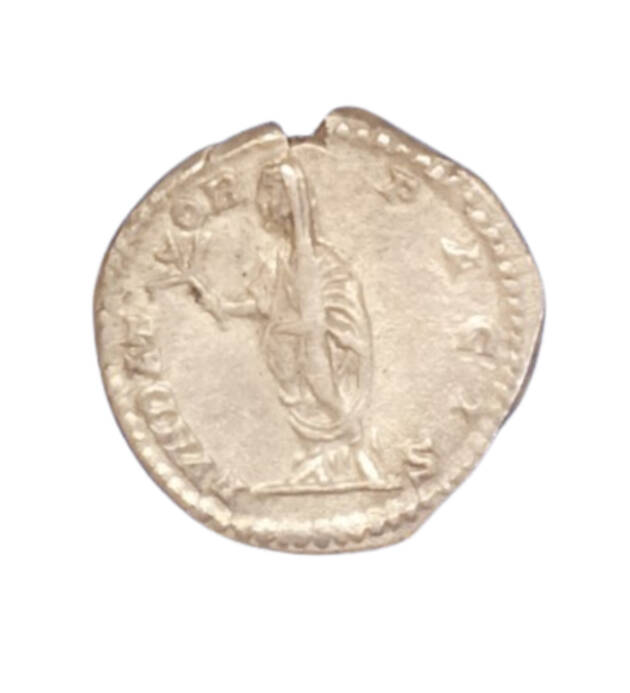 DENARIO SEPTIMIO SEVERO 202-210 D.C. reverso