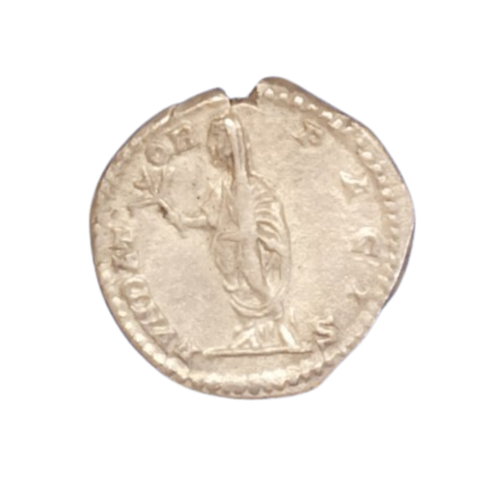 DENARIO SEPTIMIO SEVERO 202-210 D.C. reverso