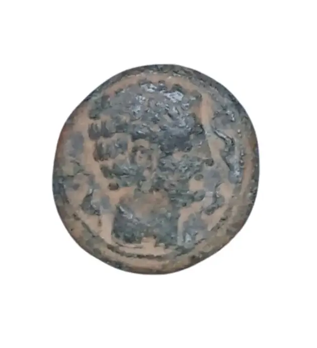 SEMIS DE ILTIRTA 220-200 A.C.
