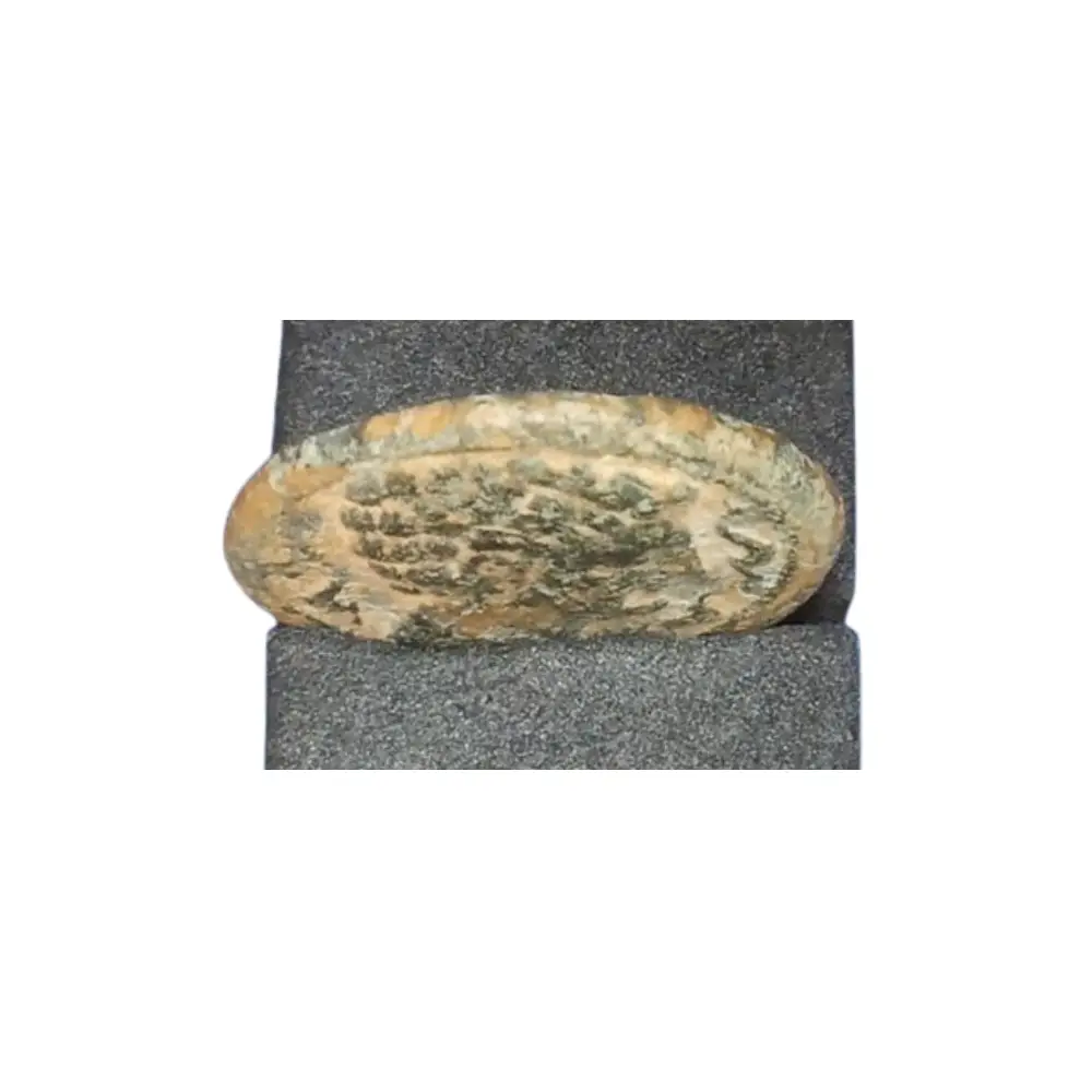 SEMIS DE ILTIRTA 220-200 A.C. canto