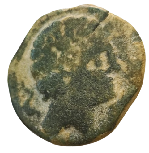 AS IBÉRICO KELSE 204.154 A.C.
