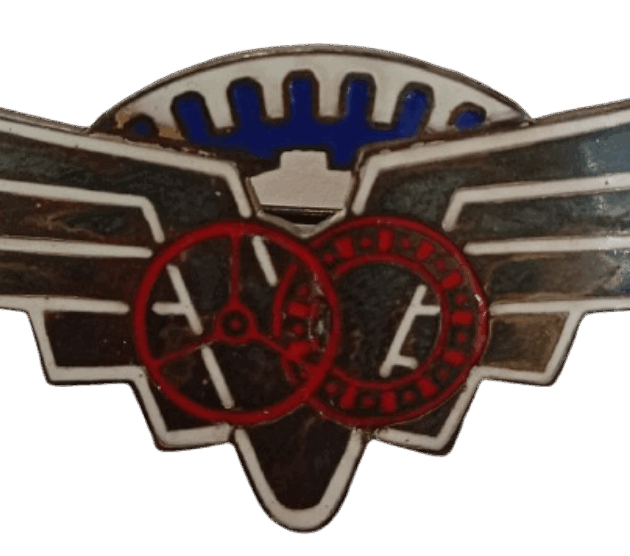 DISTINTIVO DE INSTRUCTOR DE AUTOMOVILISMO